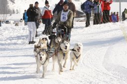 Lenk 2012 SM